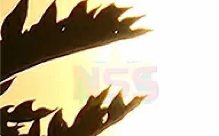 Veel zon, maar ook onweersbuien in de middag