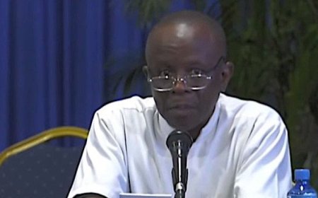 Internist-infectioloog Stephen Vrede over WHO-erkenning malariavrij Suriname