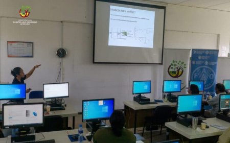 Suriname versterkt capaciteit voor bosmonitoring en klimaatrapportage