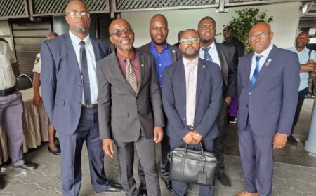 Kleine partijen hoopvol over aankomend kabinet: ‘We hebben afgesproken dat we samen optrekken