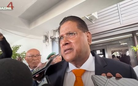 Santokhi zal op verzoek van partij structuren zitting nemen in DNA