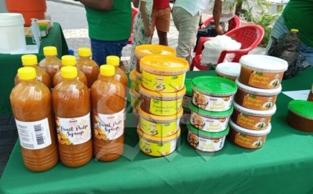 Greenmust Food & Beverage streeft naar duurzame verpakkingen, maar ondervindt uitdagingen