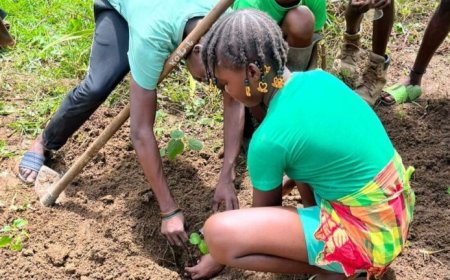 Jongeren Sipaliwini planten bomen voor duurzame landbouw en bewustwording