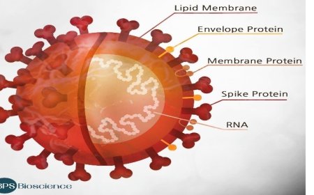 Covid-19-pandemie: historie en analyse (8): De schadelijke effecten van de spike-proteïne (st