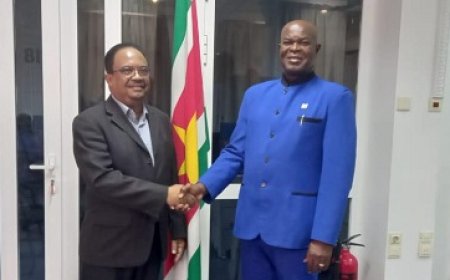 Vertrekkende- en aankomende vicepresident hebben gesprek