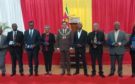 Leden Malaria Elimination Taskforce gedecoreerd door president