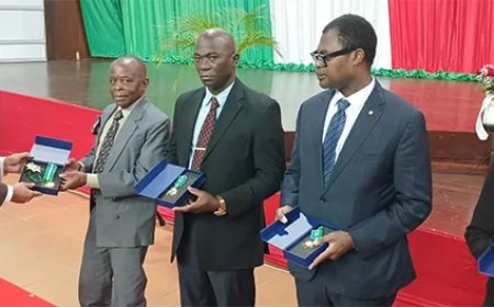 Suriname eert Taskforce voor bijdrage aan malariavrije status