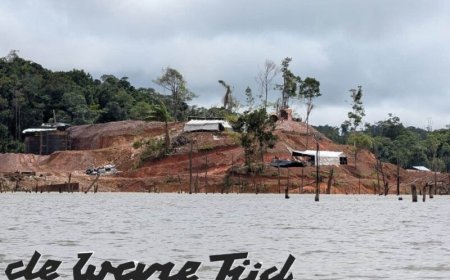 NMA doet onderzoek naar ‘gold dressing agent Jin Chan’