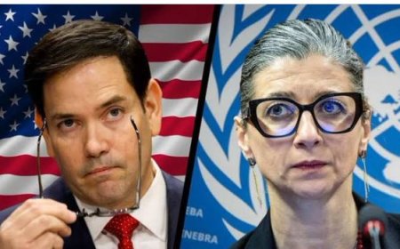 VS kondigt sancties aan tegen VN-rapporteur Albanese