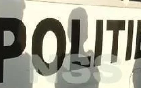 Voortvluchtige verdachte dood aangetroffen na geweldsincident met ex-partner