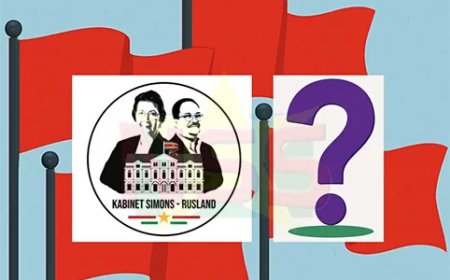 Column: Kabinetsformatie: Competentie of beloningssysteem?