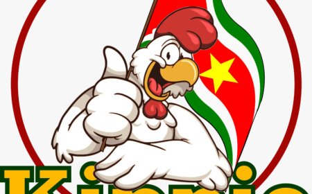 Accountantskamer buigt zich over klacht tegen EY-accountant in ‘Kippie-kwestie’