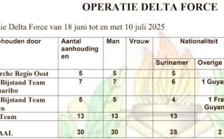 30 verdachten aangehouden na reeks misdrijven: Oproep tot waakzaamheid