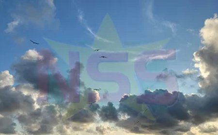 Zelfde weerpatroon bewolkt, zon en onweer