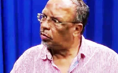 Kleine en middelgrote pluimveeboeren beschrijven zorgen sector