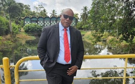 ‘Kritiek op kandidaat-ministers prematuur’; Panka vraagt om ruimte