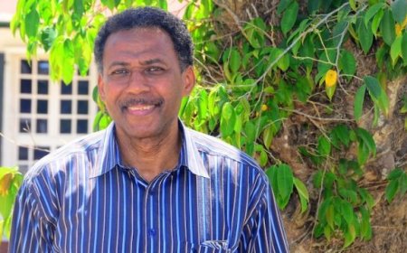 Voormalig minister Ivan Fernald stapt uit NPS