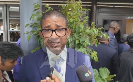 Minister Landvreugd: “Geen topfunctie nodig om Suriname te dienen”