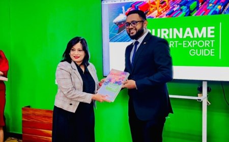 Nieuwe gids moet import- en exportprocessen transparanter maken