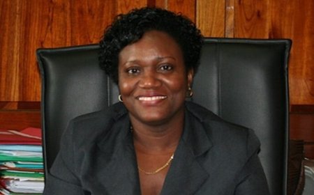 Adelien Wijnerman nieuwe minister van Financiën en Planning in regering‑Simons