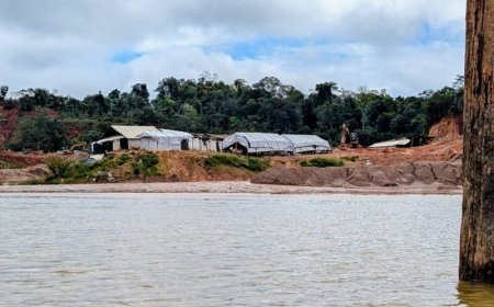 Concessionaris Kwangu-gebied niet gekend bij onderzoek