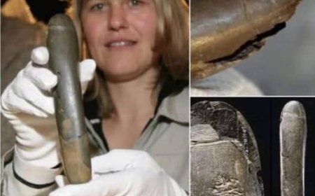 WIST U DAT: In Duitsland een 28.000 jaar oude stenen fallus is gevonden?