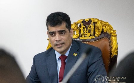 Nieuwe DNA-voorzitter Adhin wil daadkrachtiger en maatschappelijk betrokken parlement