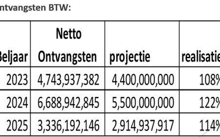 BTW grote inkomstenbron, maar automatisering blijft uit