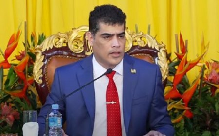 Adhin: parlement geen verlengstuk zijn van de regering