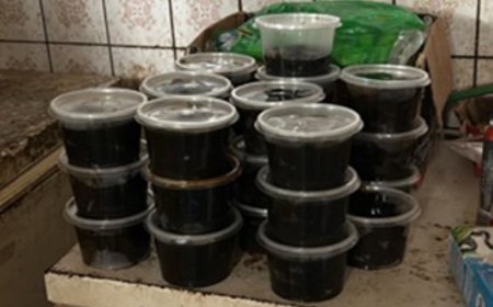 OM: Twee buitenlanders opgepakt voor handel in producten van bedreigde diersoorten jaguar en 