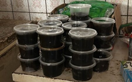 Buitenlanders vast voor illegale handel bedreigde diersoorten