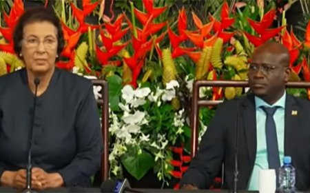 Regering gaat RVI evalueren; te weinig informatie