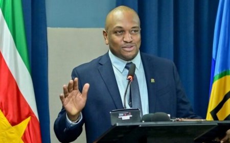 Bouva neemt ministerschap Buitenlandse Zaken over: “Het werk begint nu”