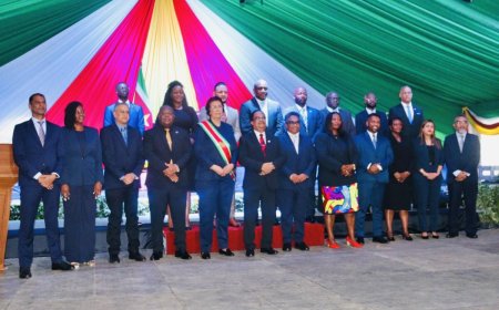 Alle neuzen in een richting