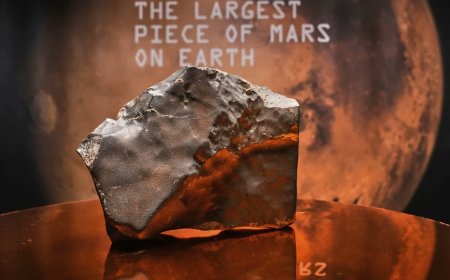Grootste Marsmeteoriet ooit op aarde gevonden verkocht voor $5,3 miljoen