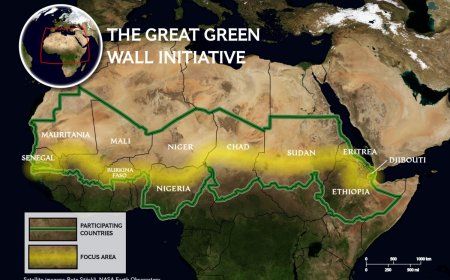 Meer dan bomen planten: het moderne mozaïek van Afrika’s Great Green Wall