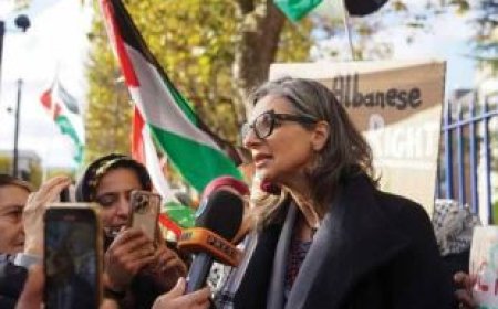 Sancties tegen Albanese zijn illegaal en tonen verdere Amerikaanse medeplichtigheid aan genoc