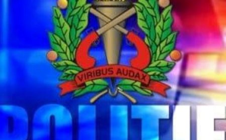 Dronken automobilist negeert stopbevel politie, rijbewijs ingevorderd