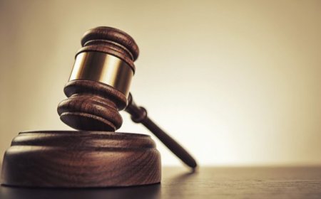 Smulle veroordeeld voor inbraak en diefstal uit voertuigen