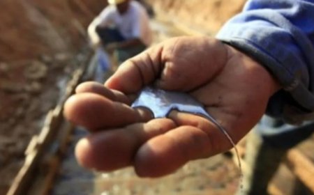 Mexicaans Jalisco-kartel gelinkt aan kwiksmokkel die illegale goudhandel in Latijns-Amerika a