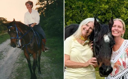 Opmerkelijk – Mokie, oudste paard ter wereld,  op 40-jarige leeftijd overleden