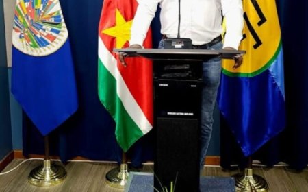 Diaspora talk: Tussen diaspora en remigratie