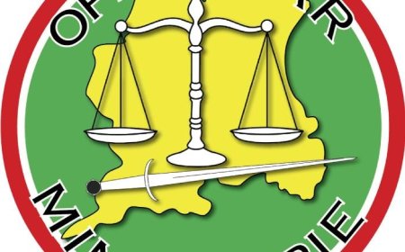 Opnieuw illegale landingsbaan Goliath-gebied onklaar gemaakt