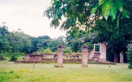 UNESCO prijst Suriname voor beheer Jodensavanne, maar dringt aan op duurzaam financieel plan