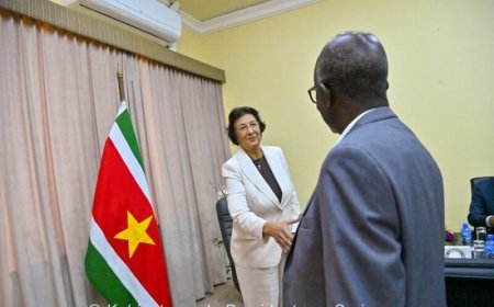 President Geerlings-Simons niet content met hoge prijzen energieprojecten