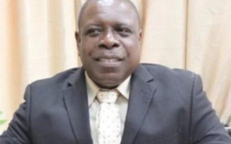 Welzijn: Clown-opmerking Hellings moet in context worden beoordeeld