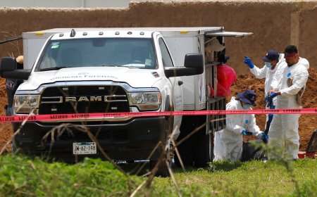 Wetenschappers in Mexico kleden dode varkens aan en begraven ze 