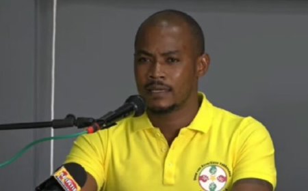 Ontslag Marciano Hellings is geen repressieve maatregel, maar een broodnodige grensstelling