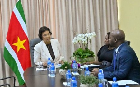 President Simons kritisch op hoge kosten energievoorziening