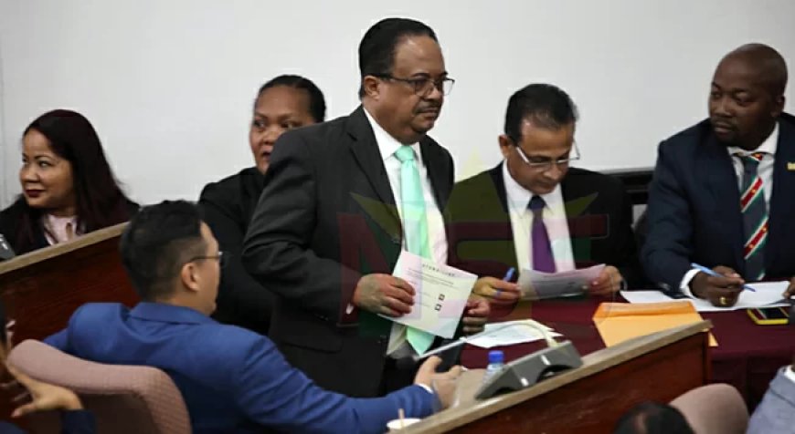 Column: Laat alle 34 coalitieleden tekenen voor president en vicepresident